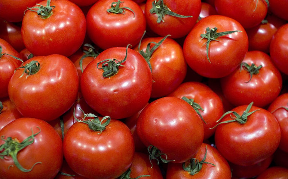 Golpe a exportadores de tomate